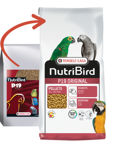 Pienso Para Loros Nutribird P Original Versele Laga Kg