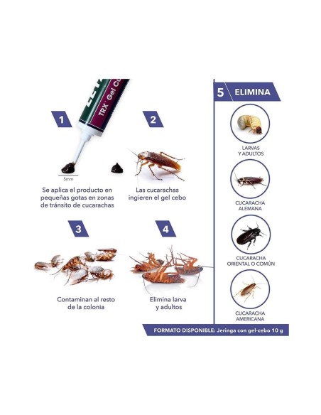 Pack de 2 Jeringas LETAL Gel - Eliminador de Hormigas y Cucarachas - Control de Plagas