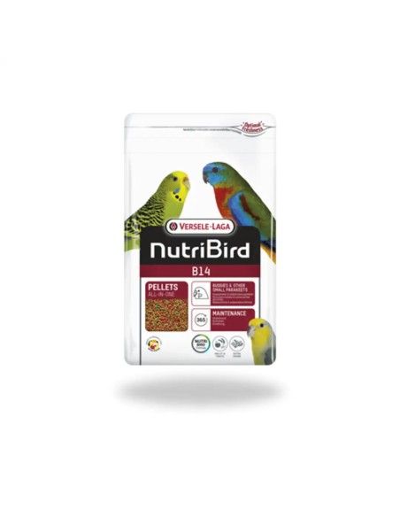 Je nourris NUTRIBIRD VERSELE LAGA B14 pour perruches et petits psittacidas dans un récipient de 800 gr