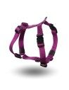 Arnes Nylon Basic ARPPE Morado Talla 25