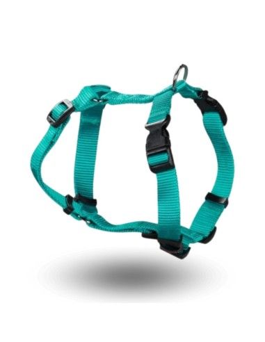 Harnais ARPPE en Nylon turquoise