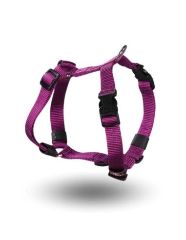 Acheter harnais pour chien Arppe en nylon doux violet