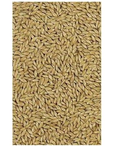 Canary seed versele laga 25 kg Canary seed versele laga 25 kg
