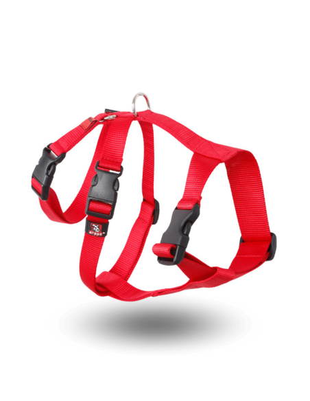 TRIPLE ARPPE harness for red greyhounds and podencos