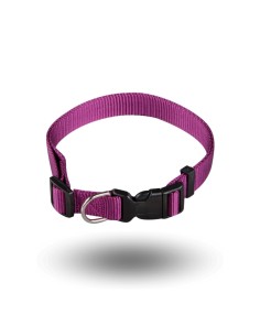 Collar para perros Arppe Nylon color morado 40-47 cm