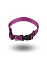 Collier pour chien Arppe Nylon couleur violette 40-47 cm