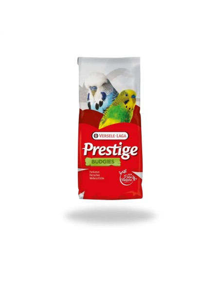 Prestige Perruches Jo Mannes Euro-Camp