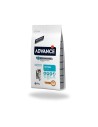 Buy Cat Kitten Advance Feed 10 kg