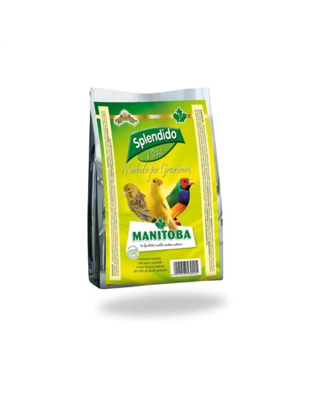 Pasta Splendido Giallo Patee MANITOBA 3kg