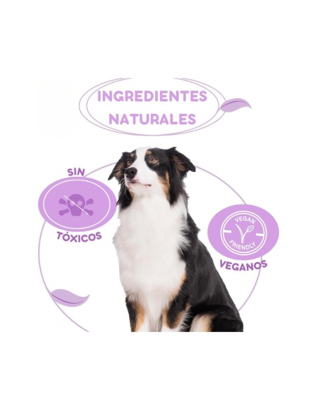 Insecticida en Spray MENFORSAN para Perros con Margosa, Geraniol y Lavandino 250ml