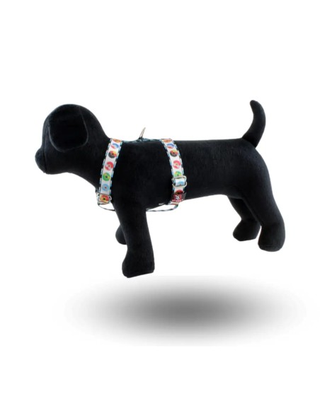 Harnais pour chiens Champions en nylon Arppe taille 2020