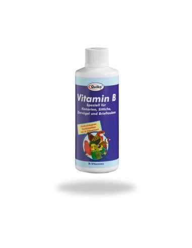 Vitamina B QUIKO 100 ml