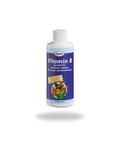 Vitamina B QUIKO 200 ml