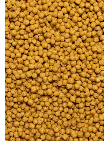 Psittacus, je Pense que mini, 0,450 gr