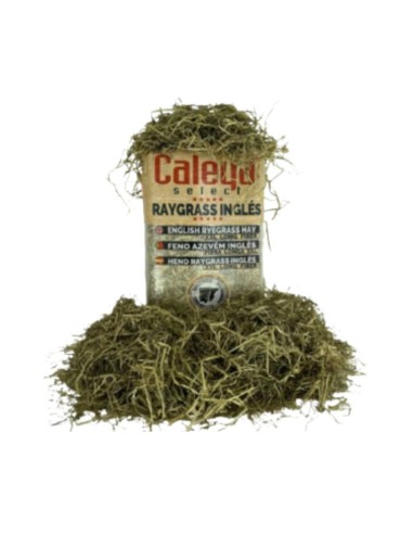 Heno Inglés para Caballos Caleya – Raygrass de Alta Calidad