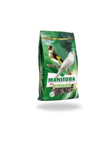 Alta Germinazione Manitoba 15 kg - Semi per Uccelli Ornamentali