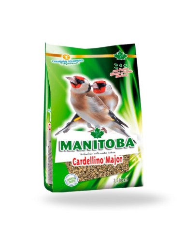 Manitoba Cardellino Major 2,5 kg - Graines Premium pour les chardonnerets