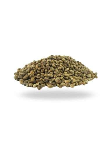 Small Manitoba Hemp 1 kg - Energetic Seed for Birds