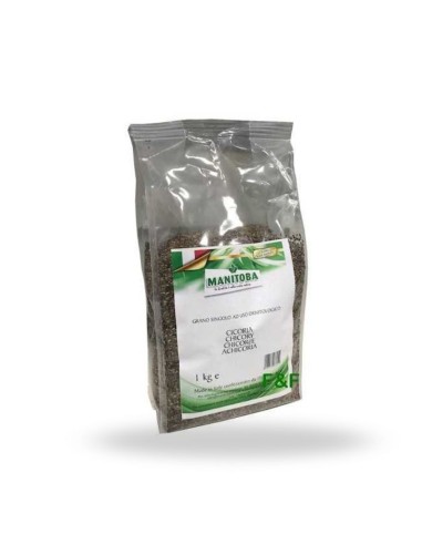 Cicoria Manitoba 1 kg - Seme Digestivo per Uccelli