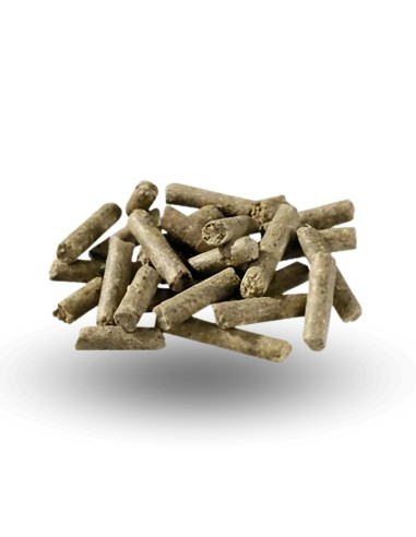 Pienso Básico para Caballos PAVO Basic Plus 20 Kg - Sin Avena para Mantenimiento