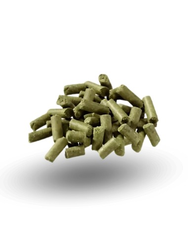 Muesli Energético para Caballos PAVO Condition 20 Kg - Pienso sin Avena de Mantenimiento