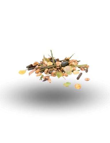 Muesli Deportivo para Caballos PAVO SportsFit 15 Kg - Energía Moderada sin Avena