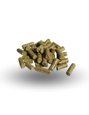 Alimento Completo para Caballos PAVO Complete 20 Kg - Sustituye el Forraje en Dietas Equilibradas