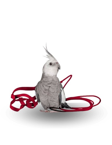 Arnes para aves THE AVIATOR Rojo talla PETITE 75-110 grs