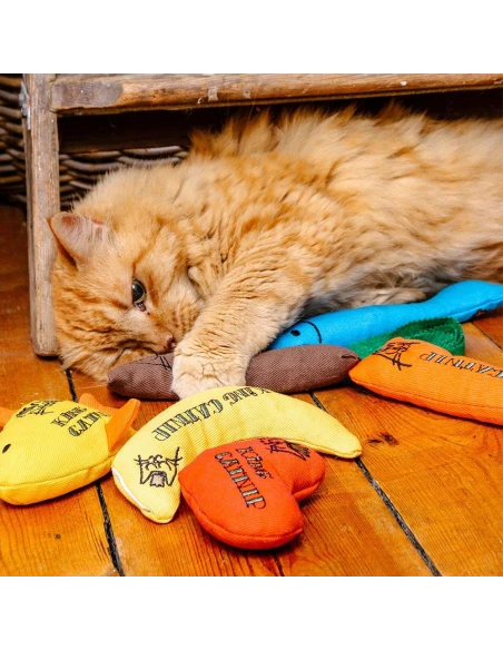 Juguete de Rana para Gatos KING CATNIP con Hierva Gatera