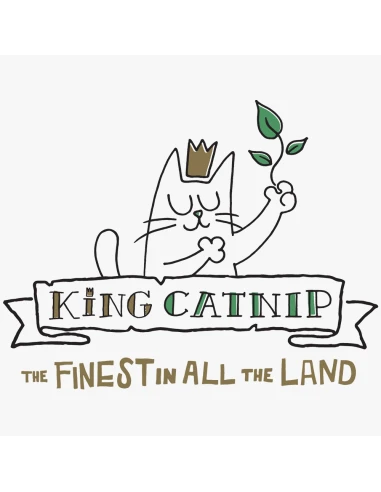 King Catnip Spray Hierba Gatera 175 ml | Estimula el juego y bienestar felino