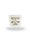 Kit de Cultivo de Hierva Gatera KING CATNIP 12gr