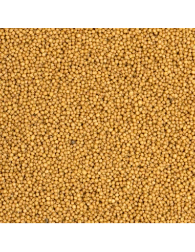 WET & DRY MICROSPHERES 25/18