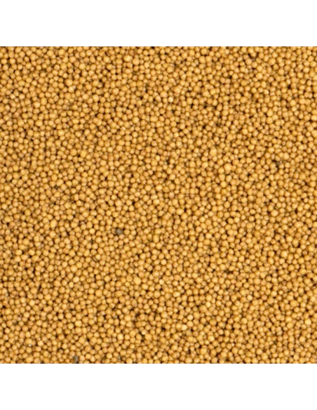 SERINUS Wet and Dry microspheres 25/18 3 Kg para canario y pequeños pajaros