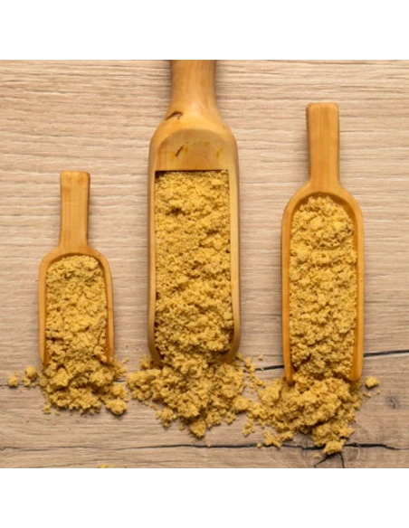 Papilla para canarios SERINUS 1 kg
