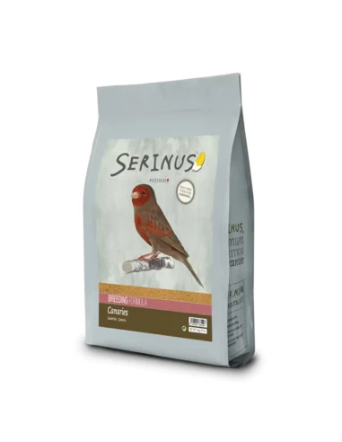 SERINUS CANARIOS ÉLEVAGE | 5 KG.