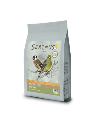 MUE D’OISEAUX SAUVAGES