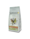 Serinus Wild Birds Breeding