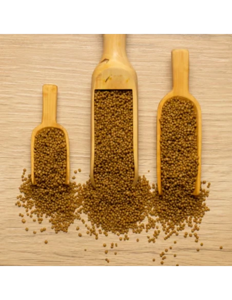 SERINUS Wet & Dry Microspheres 25/18 | Alimento Versátil para Aves Pequeñas