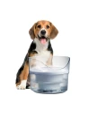 Fuente ZEUS Fresh & Clear 1,5L | Agua Filtrada para Gatos y Perros Pequeños