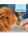 Golosinas Naturales para Roedores - Heno Timothy, Frutas y Vegetales