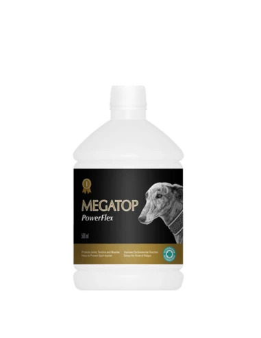 Suplemento Omega-3 con DHA, EPA, Vitamina A y D3 | Soporte Articular y Deportivo