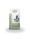 Arion Maintenance Pollo Medium | Pienso Perros Adultos Medianos
