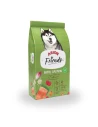 Arion Friends Vital Salmón | Pienso para Perros Adultos