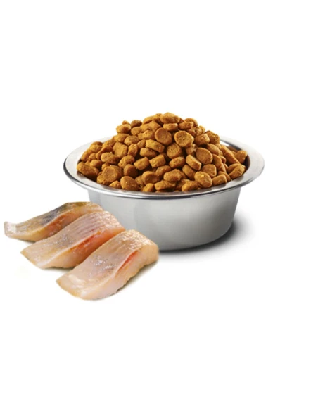 Pienso para Gato FARMINA N&D Ocean Cat de Arenque y Naranja 5kg|Complementos para aves
