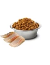 Pienso para Gato FARMINA N&D Ocean Cat de Arenque y Naranja 5kg|Complementos para aves