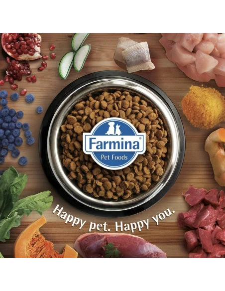 Pienso para Perro Med/Max FARMINA N&D Ancestral Light Pollo 12kg|Complementos para aves