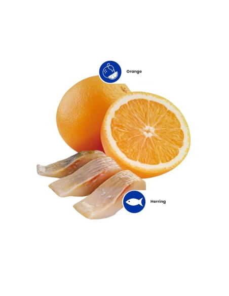Pienso para Gato FARMINA N&D Ocean Cat de Arenque y Naranja 5kg|Complementos para aves