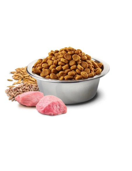 Pienso para Gato Esterilizado FARMINA N&D Ancestral Cat Nuetered de Pollo 5kg|Complementos para aves