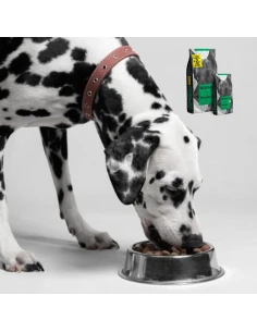 Pienso para Perro ARION Titanium Balance 15+2kg