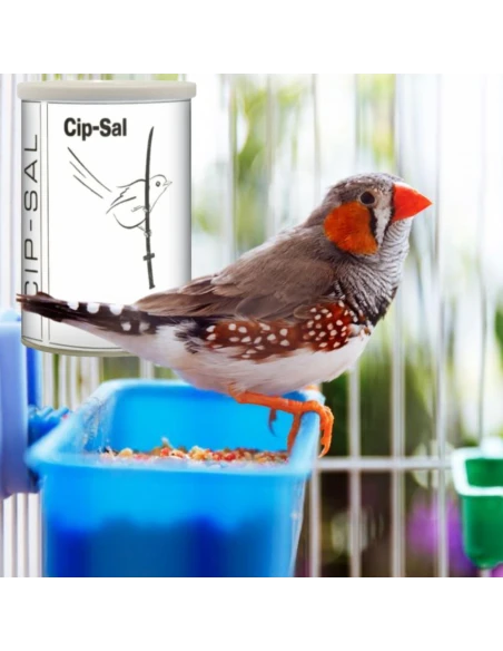 Cip Sal + Electrolitos PINETA 2.5 kg - Para aves